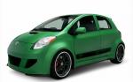 Toyota Yaris 5-Door Tailback CNG Concept 2008 года